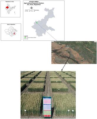 Tillage-based nutrient management practices for sustaining productivity and soil health in the soybean-wheat cropping system in Vertisols of the Indian semi-arid tropics
